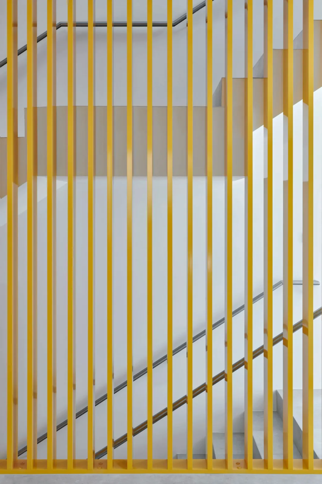 Daniela-Tonatiuh—OB_ECOGIA—006--2021