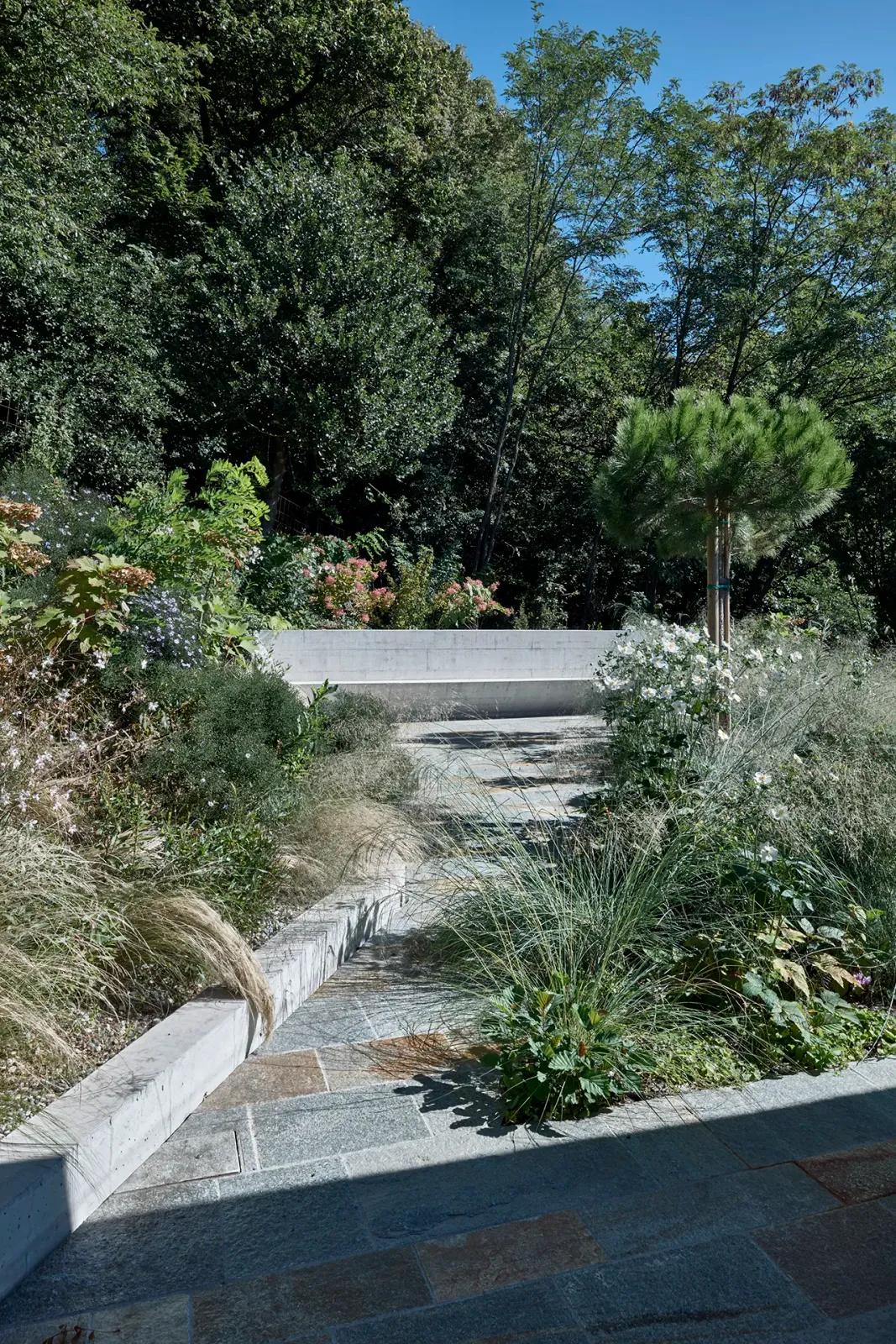 Daniela-Tonatiuh—casa_BAMBU—014--2020