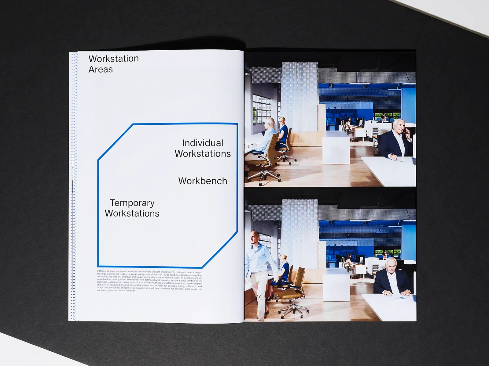 Daniela-Tonatiuh--VITRA-OFFICE-006--2010