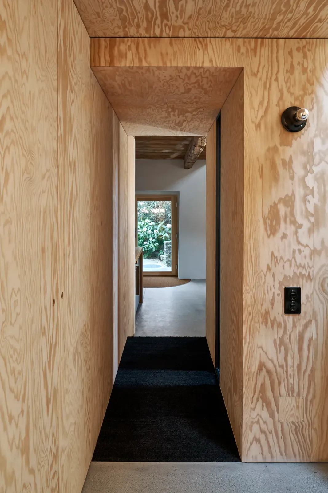 Daniela-Tonatiuh—t_REX_VERSCIO—0013--2024