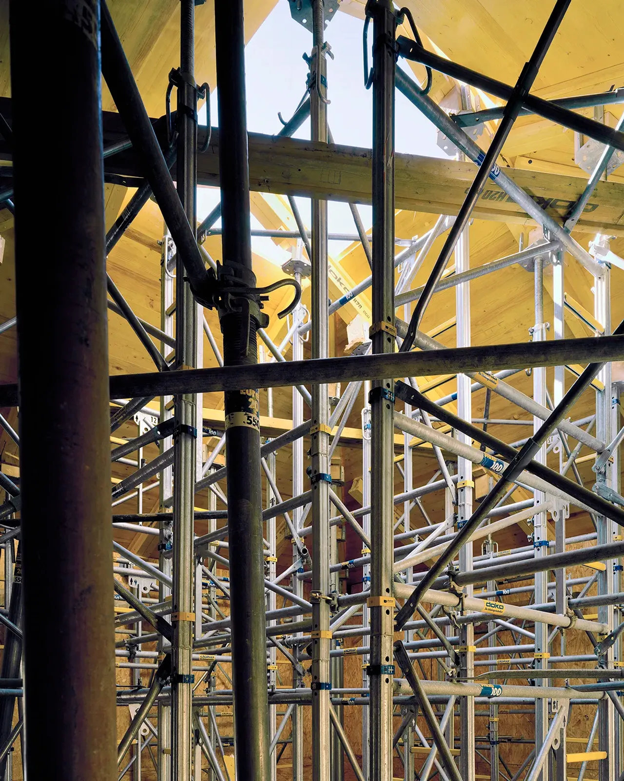 Daniela-Tonatiuh—TRF—0020--2013