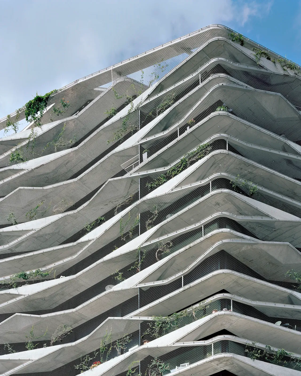 Daniela-Tonatiuh—GREENTOWER—001--2016