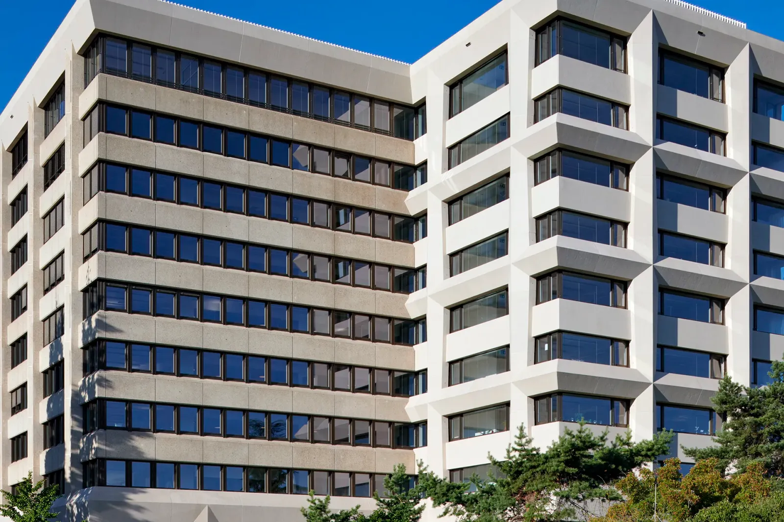 Daniela-Tonatiuh—BERREL—008--2025