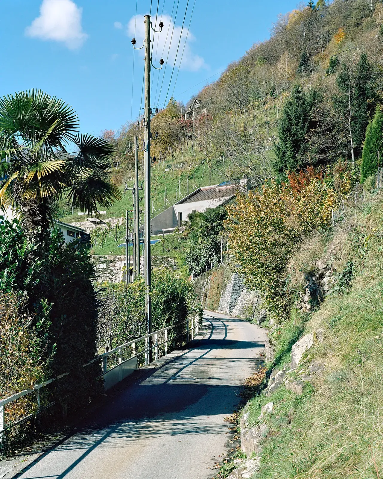 Daniela-Tonatiuh—casa_BULA—002--2015