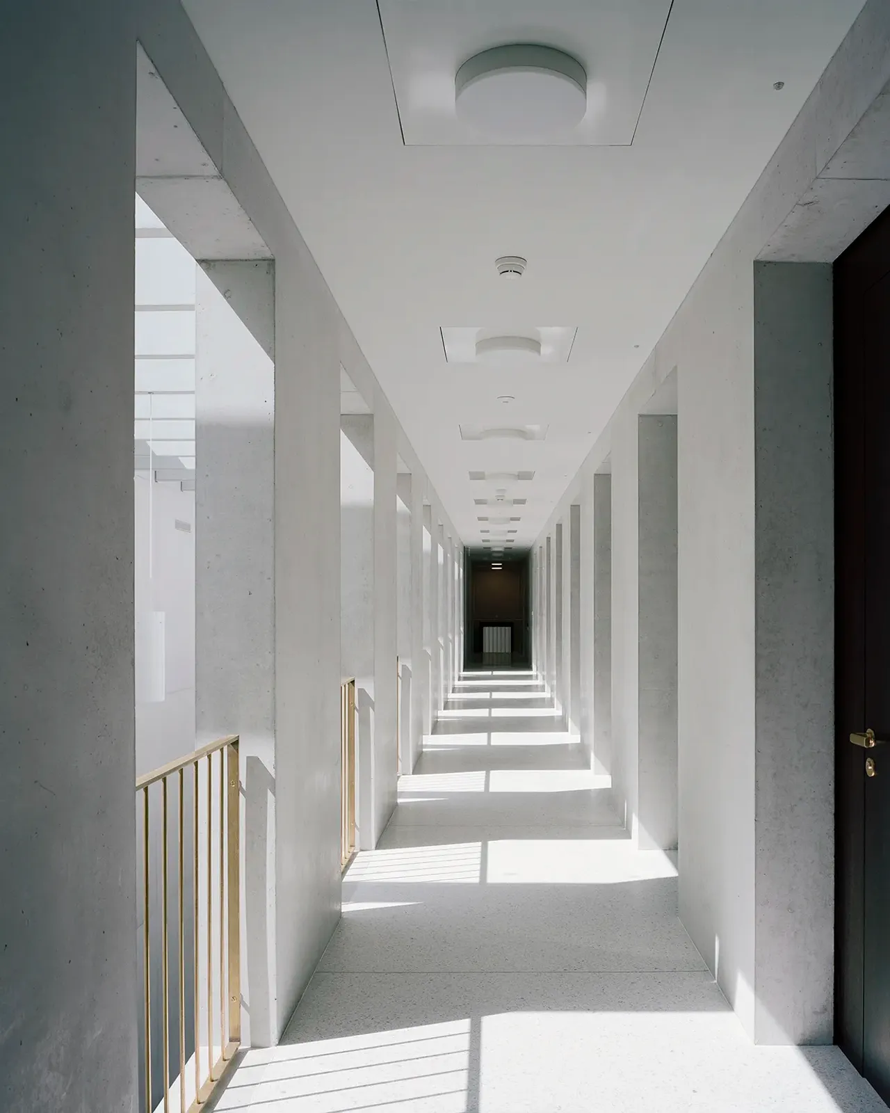 Daniela-Tonatiuh—TRF—005--2013