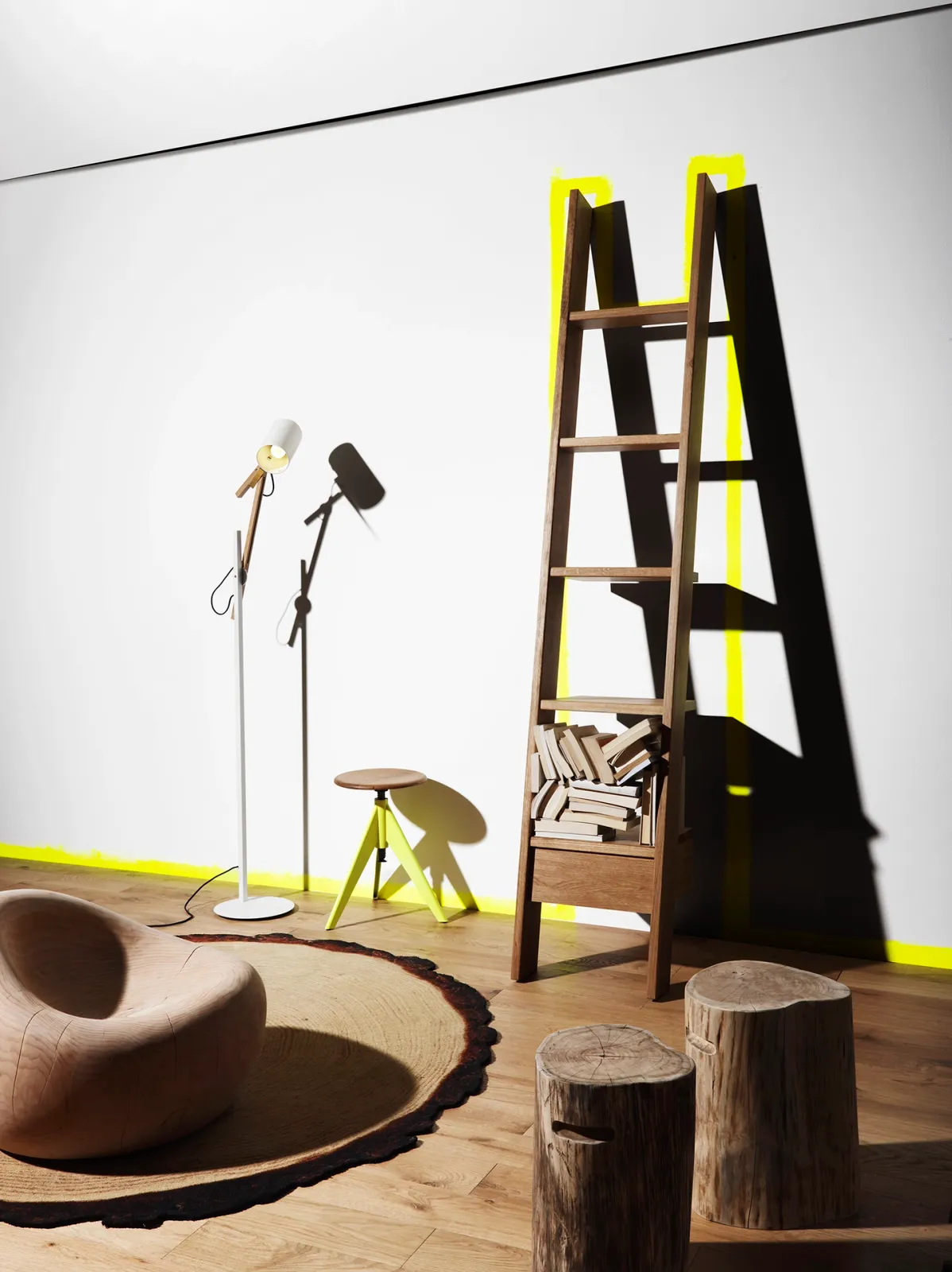 Daniela-Tonatiuh--DCASA-001--2011