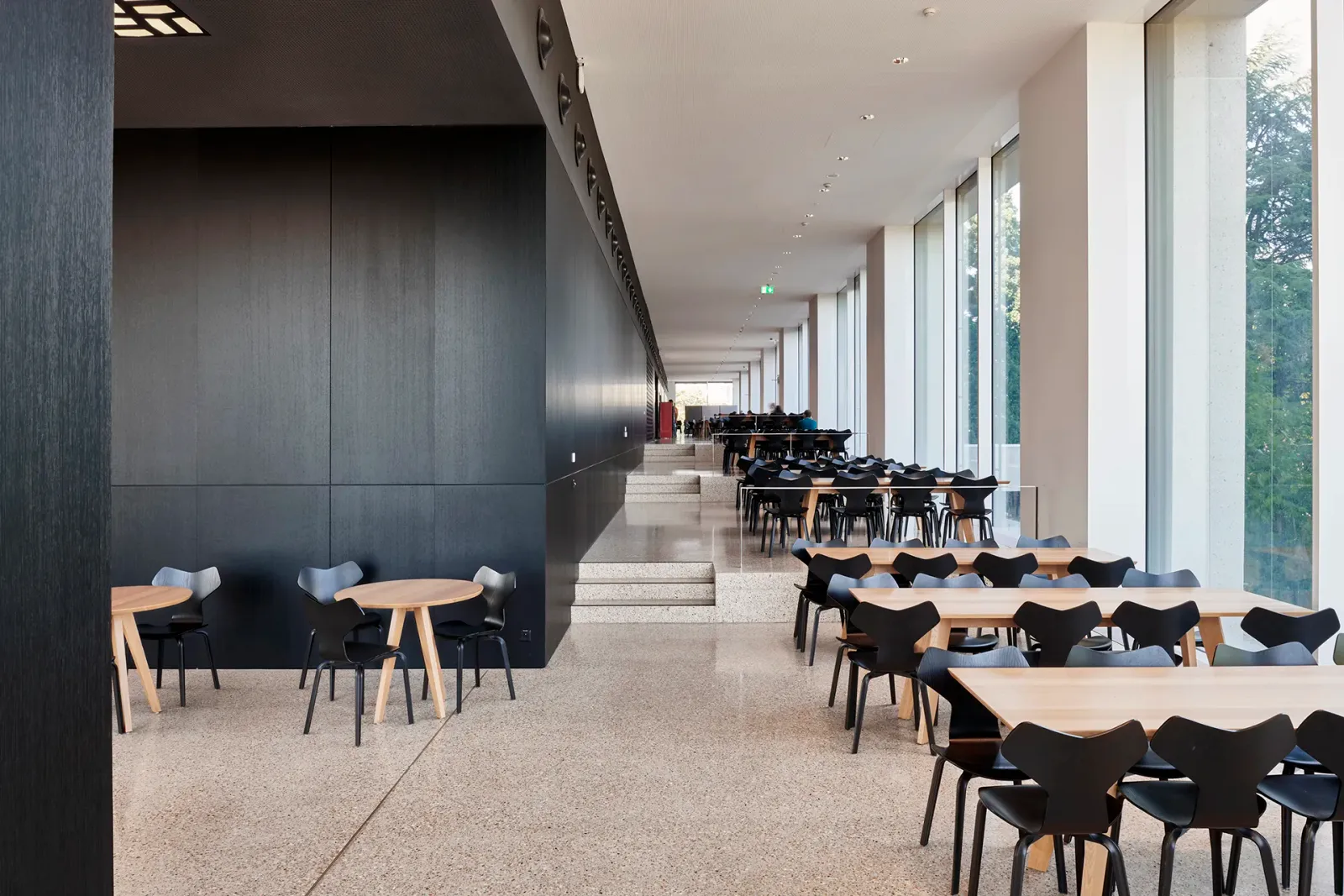 Daniela-Tonatiuh—BERREL—003--2025