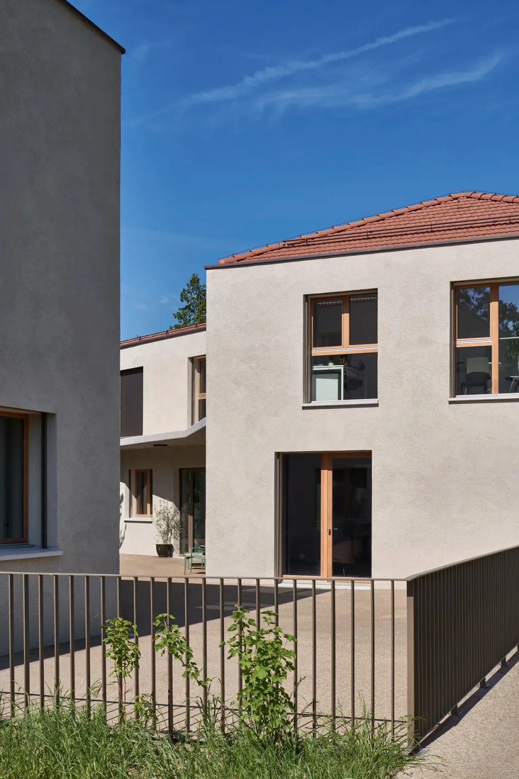 Daniela-Tonatiuh—OB_ECOGIA—0014--2021