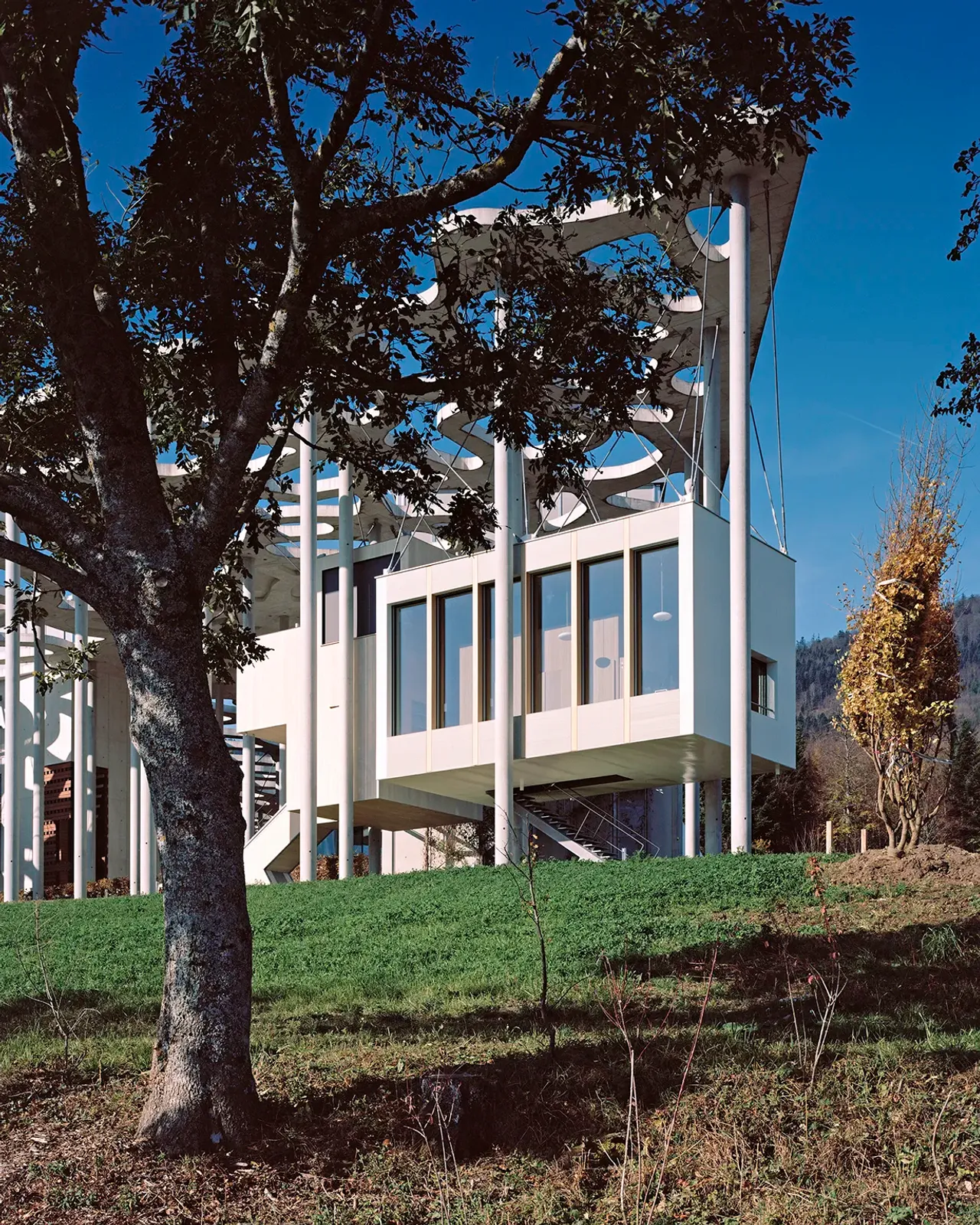 Daniela-Tonatiuh—FJM_ARCHI—005--2018