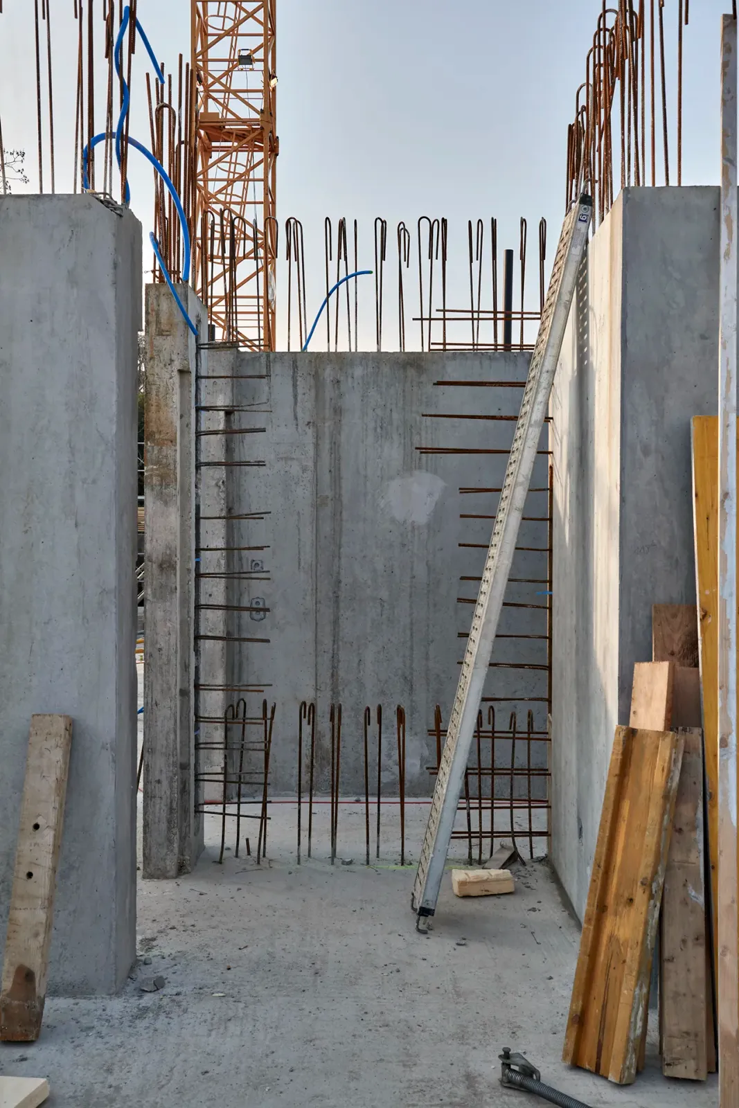 Daniela-Tonatiuh—CORPUS_GENTH—0016a--2021