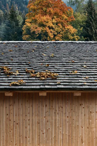 Daniela-Tonatiuh—DAVID_CLOUX—006--2021