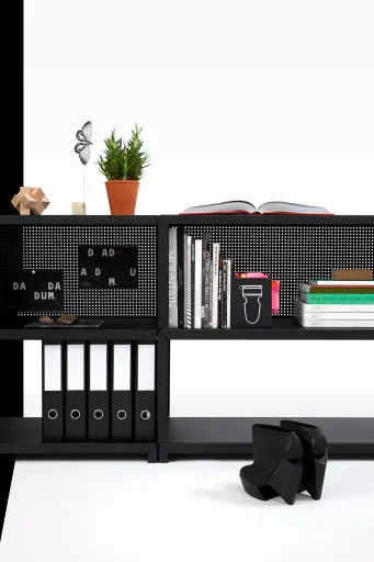 Daniela-Tonatiuh--DADADUM-002--2012