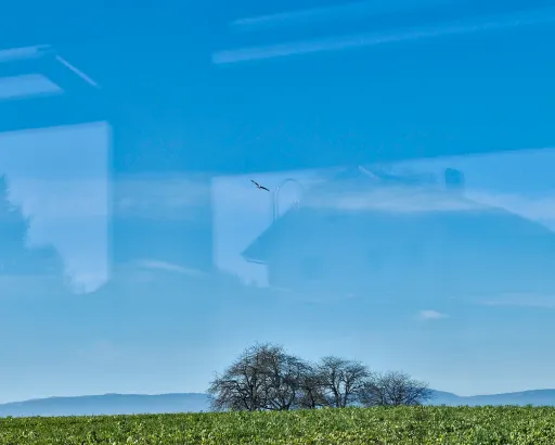 Daniela-Tonatiuh—BERCHER—007--2021